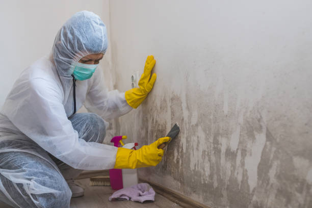 Best Commercial Mold Removal  in Agency Village, SD