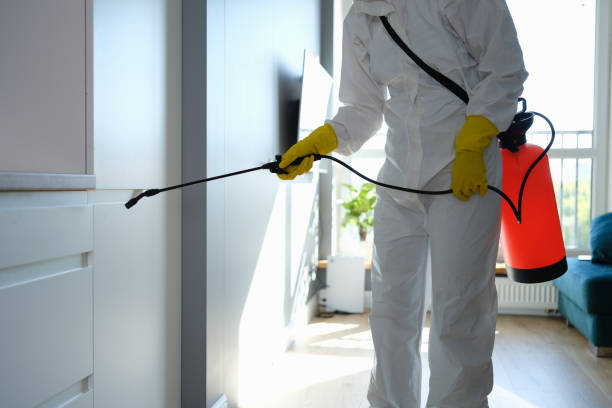 Best Office Mold Removal Services  in Agency Village, SD