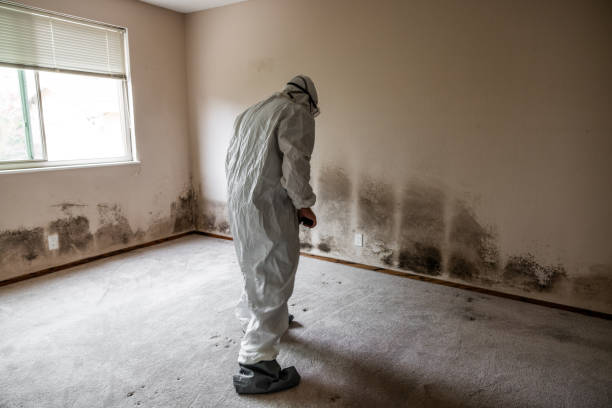 Best Emergency Mold Removal  in Agency Village, SD